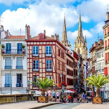 Cosy En Plein Centre Bayonne